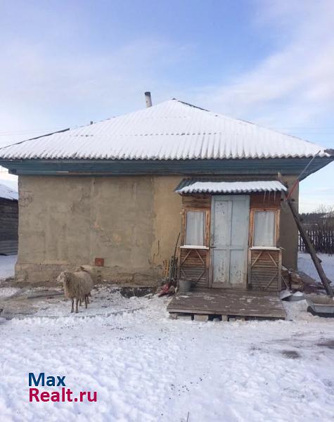 Рубцовск село Малая Шелковка частные дома