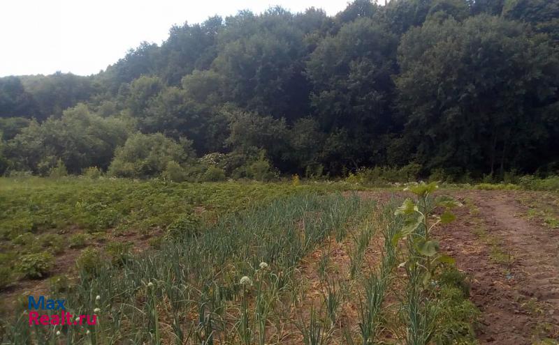 Маслова Пристань село Бочковка частные дома