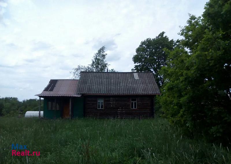 Парфино Медниковское сельское поселение, деревня Новое Рамушево