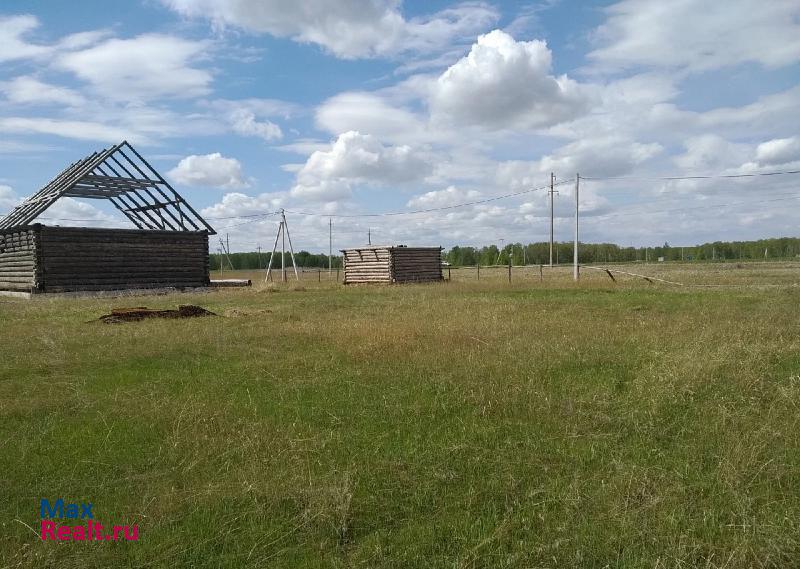 Омск деревня Зеленовка, Западная улица, 15