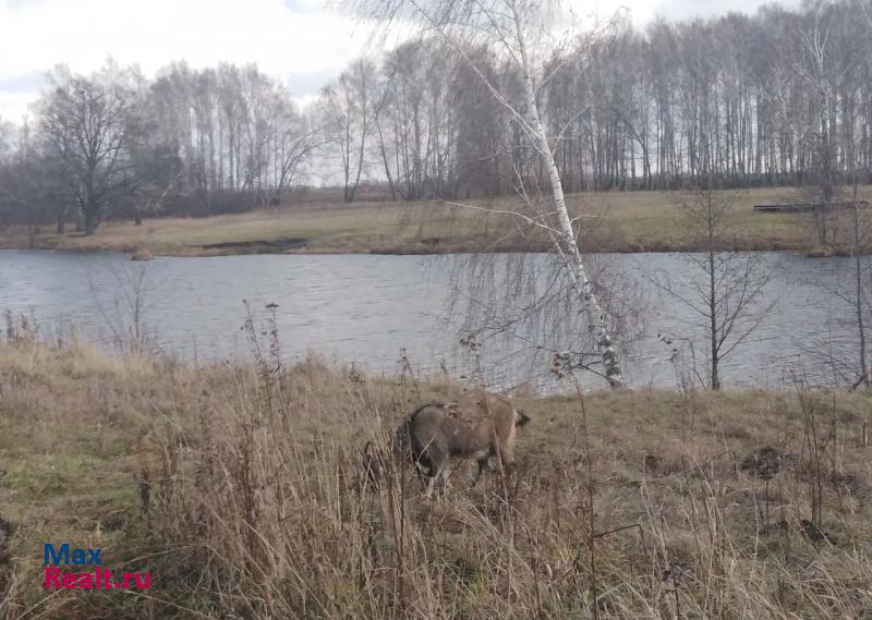 Майна посёлок городского типа Майна, Набережная улица частные дома