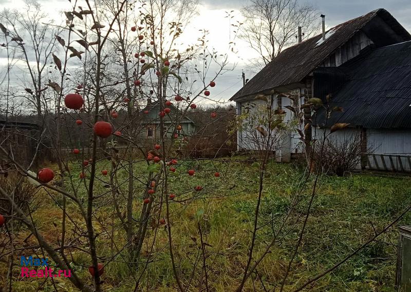 Великий Новгород деревня Чауни, Новгородский район