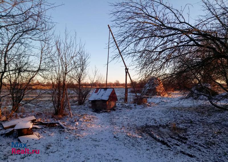 Новоржев деревня Макарихино частные дома