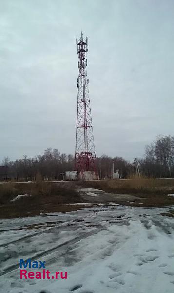 Новосибирск село Боровое, Сибирская улица