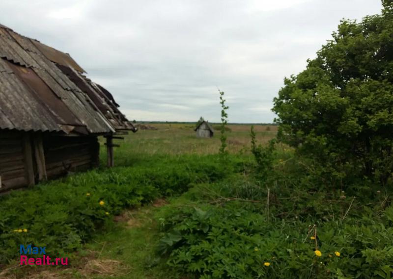 Сольцы деревня Плосково частные дома