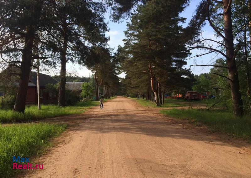 Демянск Марёвский район, село Молвотицы