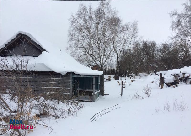 Самара село Старая Бинарадка, улица Гагарина частные дома