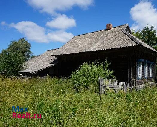 Новый Некоуз деревня Лопатино