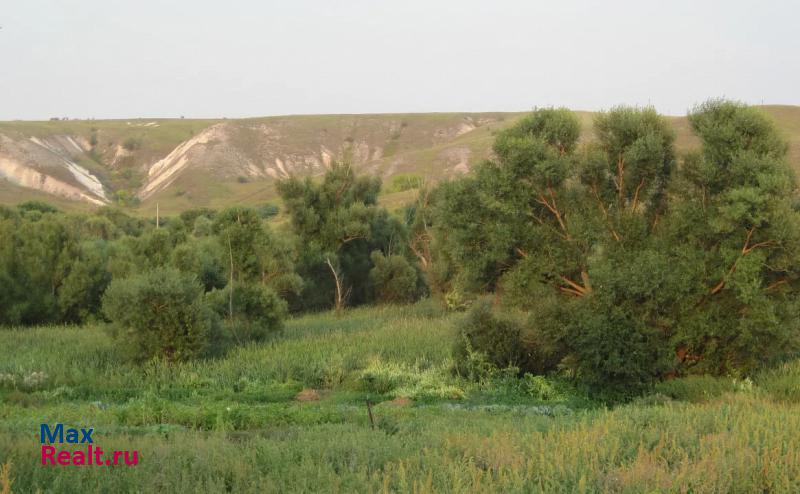 Хохольский Нижнедевицкий район, село Верхнее Турово продажа частного дома