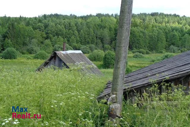 Дорогобуж деревня Хатунь частные дома