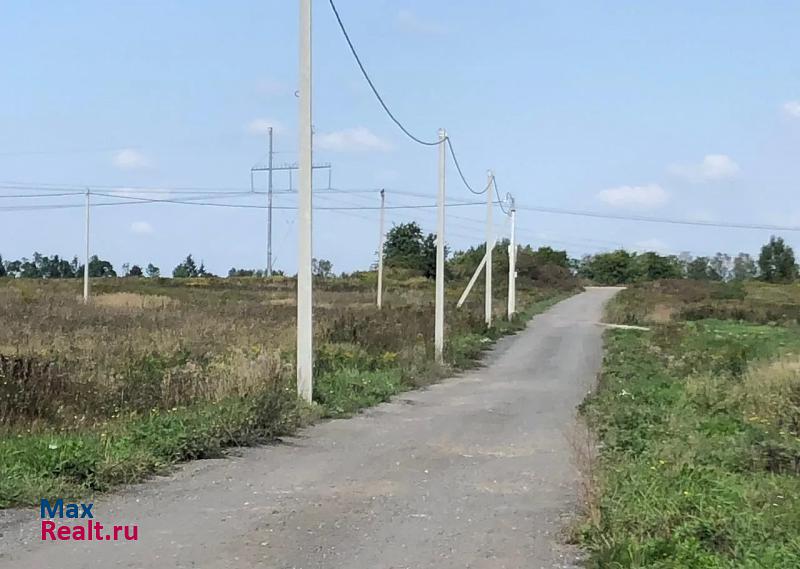 Калининград Зеленоградский городской округ, посёлок Холмогоровка частные дома