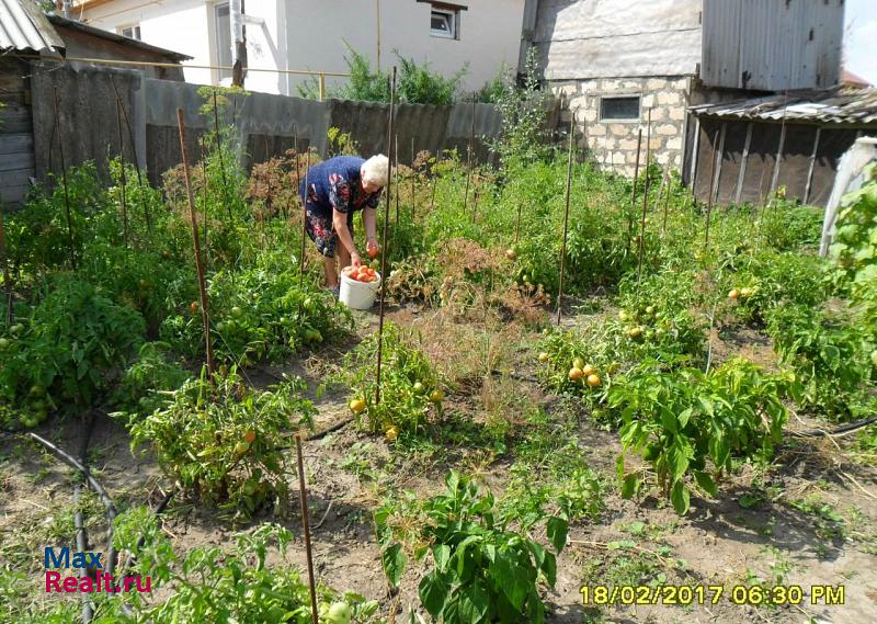 Большая Глушица село Большая Глушица продажа частного дома