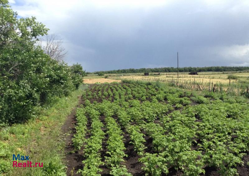 Большая Глушица село Большая Дергуновка продажа частного дома