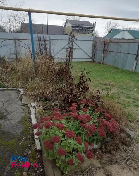 Александро-Невский поселок городского типа Александро-Невский, Молодёжная улица, 31 частные дома