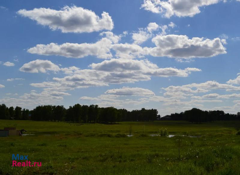 Барнаул село Власиха, микрорайон Октябрьский, улица Возрождения продажа частного дома