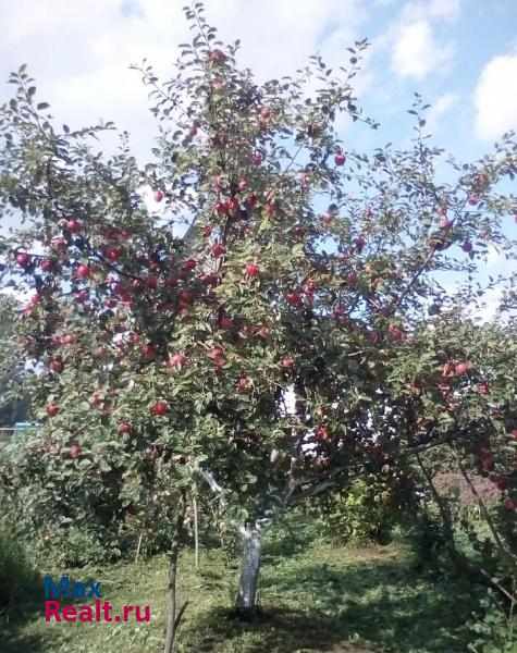 Владимир деревня Новая Быковка, Камешковский район частные дома