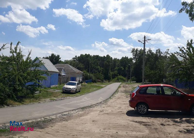 Репьевка село Репьёвка, Набережная улица, 2 частные дома