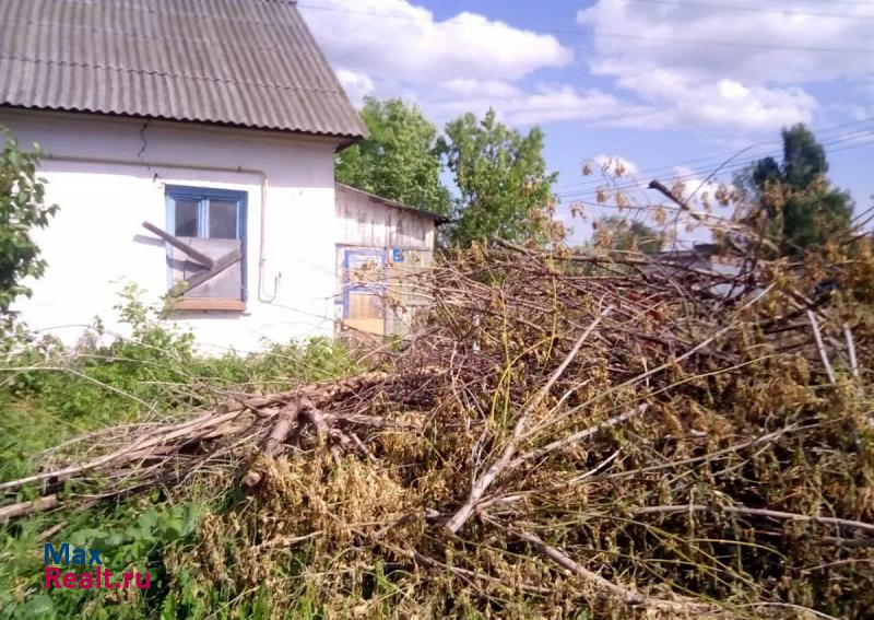 Дзержинск сельсовет Бабино, посёлок Петряевка частные дома