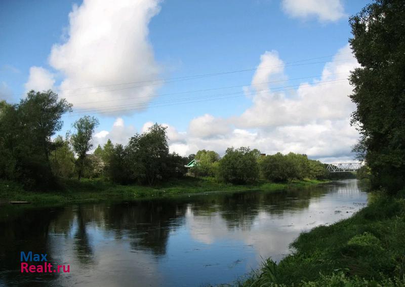 Селижарово посёлок городского типа Селижарово, Железнодорожная улица, 3 частные дома