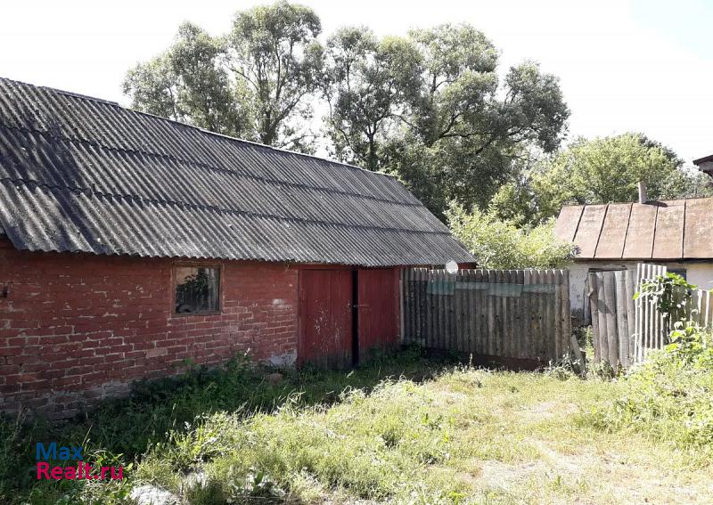 Головчино село Головчино, Грайворонский городской округ, улица Новостроевка продажа частного дома