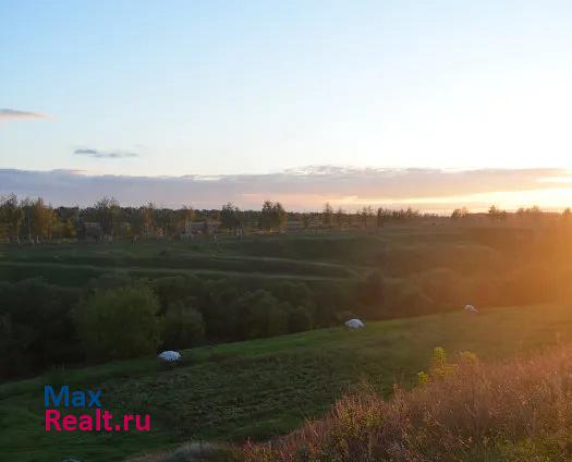 Елец поселок Трубицыно, Полевая улица частные дома