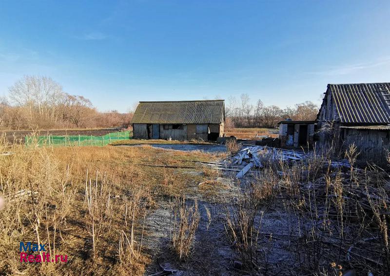 Сатинка село Текино продажа частного дома