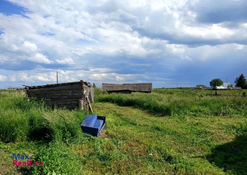 Черепаново Алтайский край, село Казанцево, Северная улица продажа частного дома