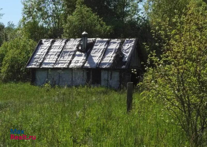 Шимск деревня Нижний Прихон частные дома