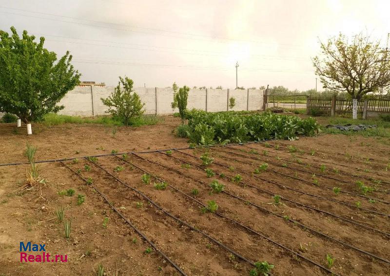 Красноперекопск Ботаническое сельское поселение, село Кумово, Новая улица, 2 продажа частного дома