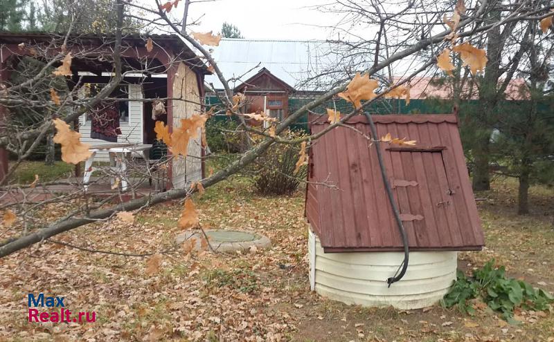 Старый Городок деревня Пронское