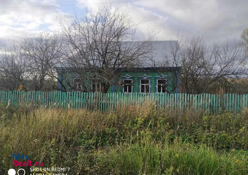 Мокшан сельское поселение Подгорненский сельсовет, село Подгорное, улица Малая Хомяковка дом