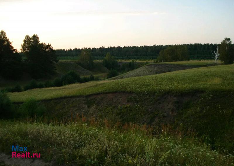 Сосновоборск село Татарский Сыромяс дом