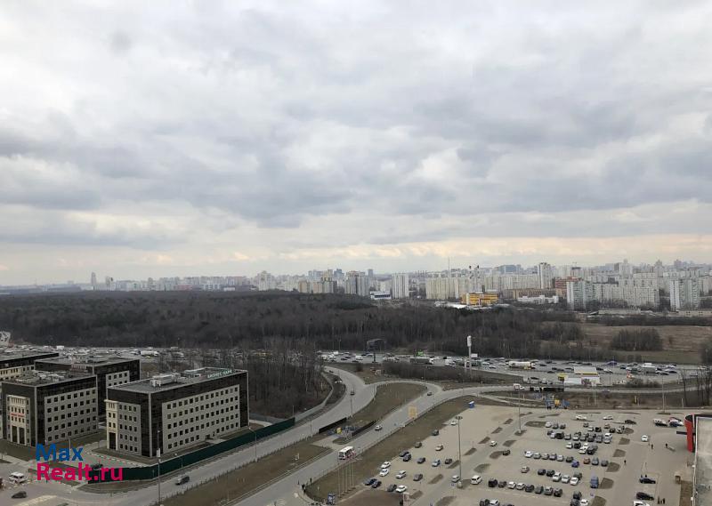 Красногорск деревня, городской округ Красногорск, Путилково