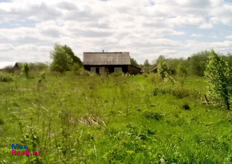 Карагай рождественское дом