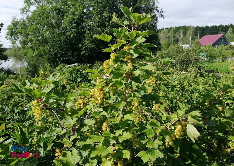 Питкяранта Питкярантское городское поселение, Ладожская улица, 14 дом