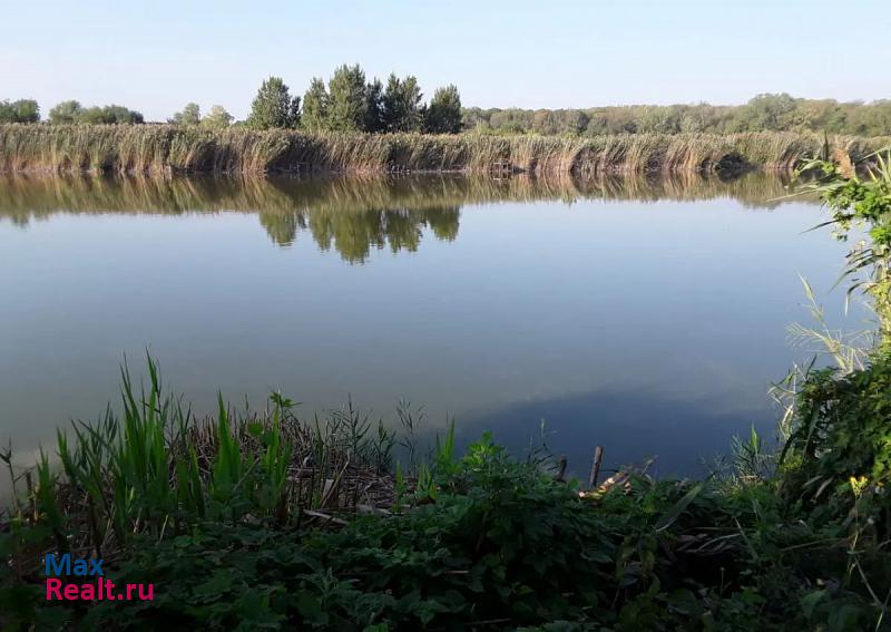 Платнировская хутор Казачий, Виноградный переулок дом