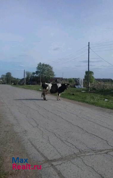 Тогучин Тогучинский район дом