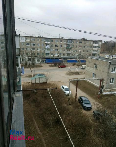 Товарково поселок городского типа Товарково, улица Дзержинского, 12