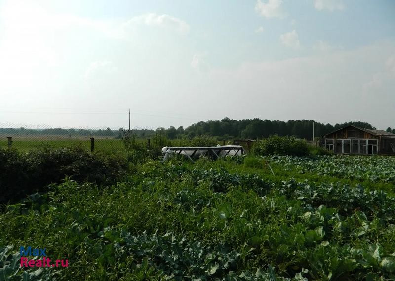 Оршанка село Табашино дом