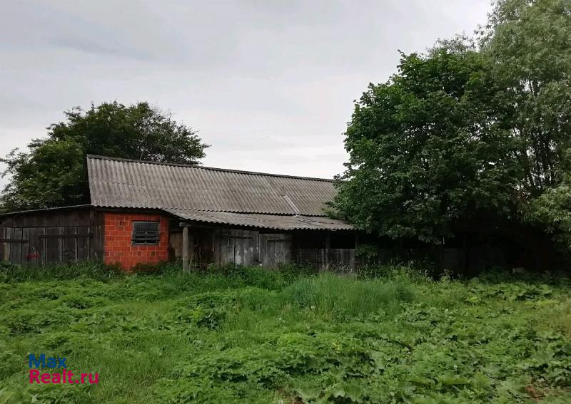 Староюрьево Староюрьевский район, село Новоюрьево дом