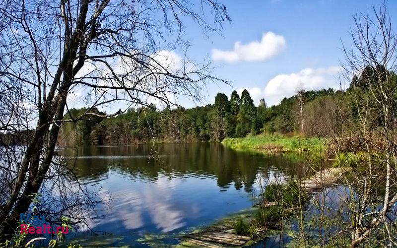 Демидов посёлок городского типа Пржевальское, Курортная улица, 5