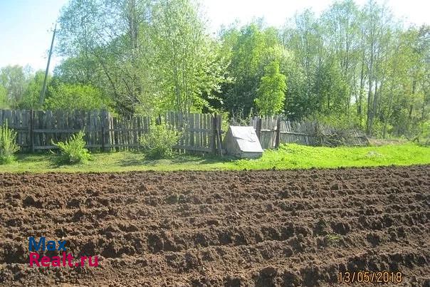 Сольцы деревня Выбити, Невская улица дом