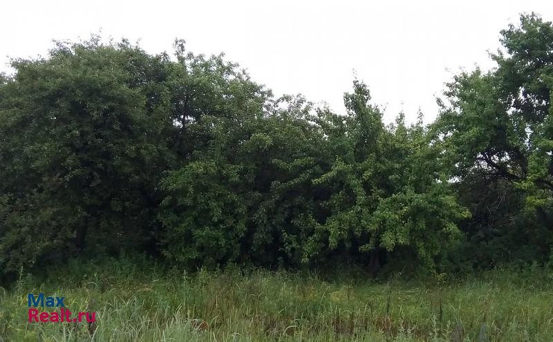 Хлевное Отскоченский сельсовет, село Донская Негачевка, Зелёная улица продажа частного дома