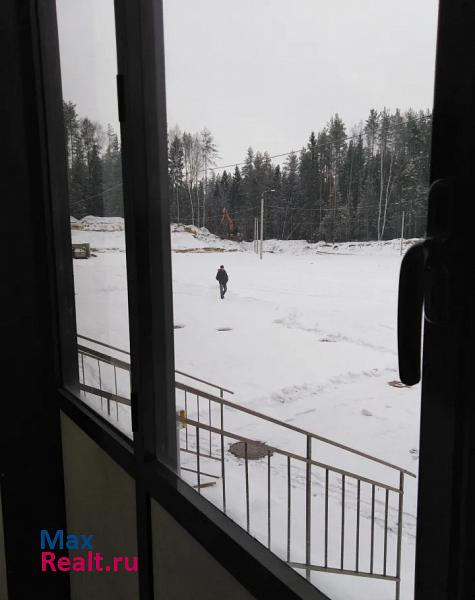 Сертолово Сертоловское городское поселение