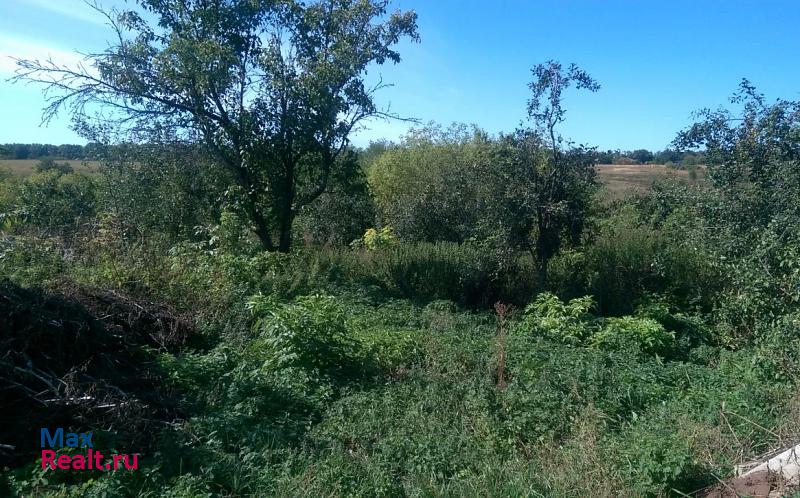 Белгород Россия, Белгородский район, Толоконное село дом