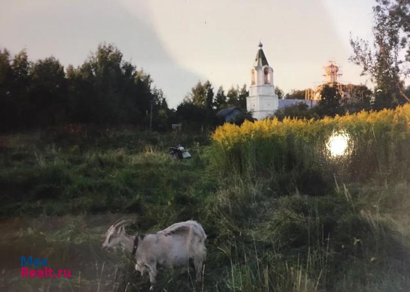 Новосиньково село Турбичево, 20 продажа частного дома