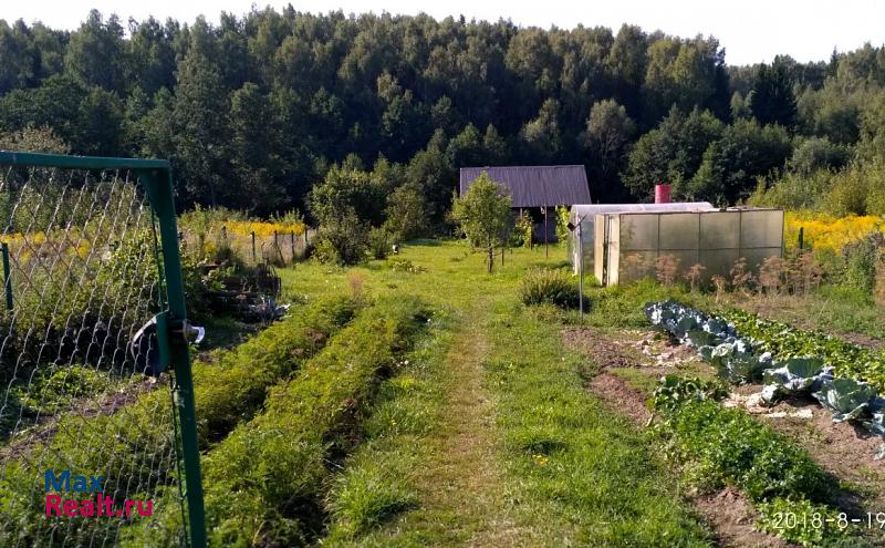 Чкаловск деревня Ваулино дом