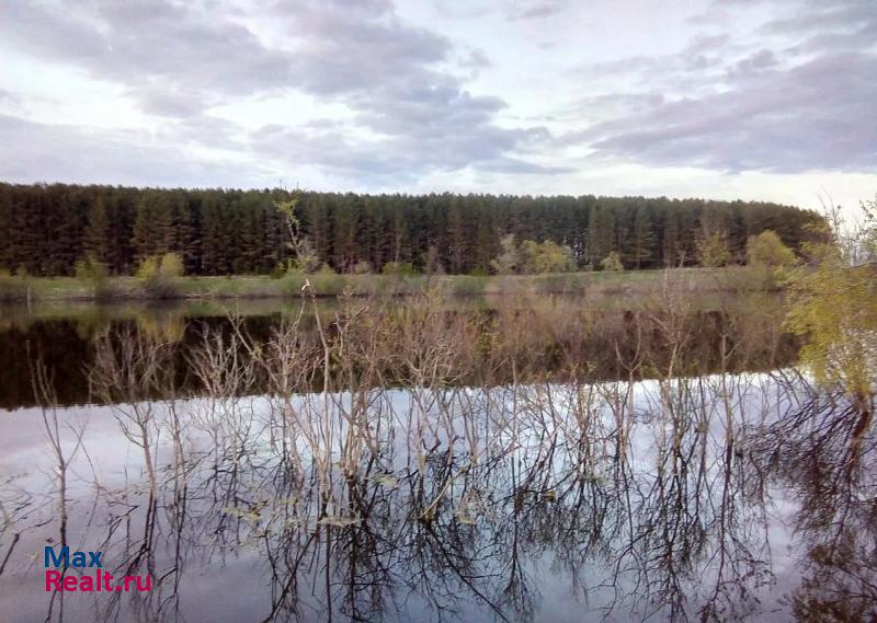 Большеречье село Камышино-Курское, Зелёная улица, 11 дом