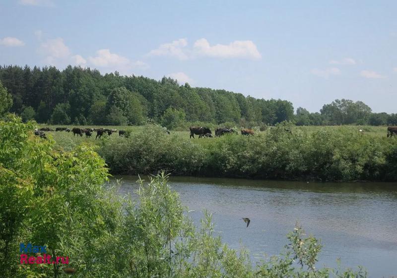 Бутурлино село Ягубовка дом