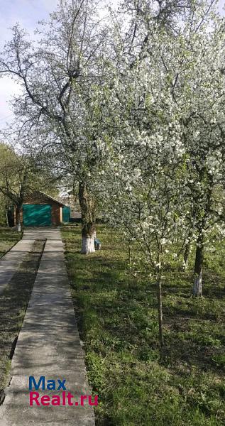 Городище городской округ Старооскольский, село Солдатское ул. березовая 40 продажа частного дома